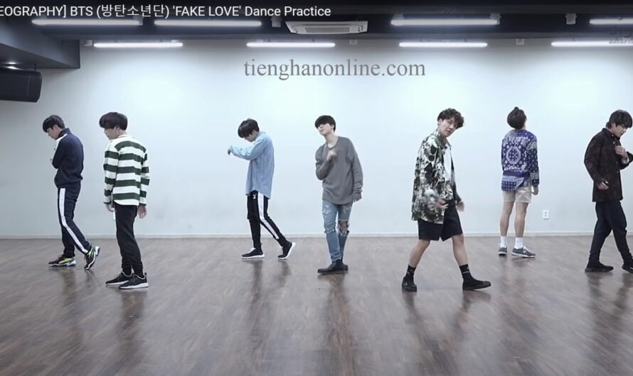 Lời bài hát “FAKE LOVE” Dance Practice – BTS – Lyrics