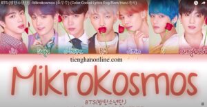 Loi bai hat Mikrokosmos BTS