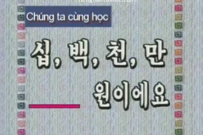 Cách hỏi giá cả trong Tiếng Hàn Quốc (Bài 09)