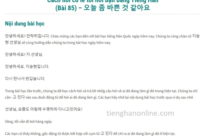Cách nói có lẽ tôi hơi bận bằng Tiếng Hàn (Bài 85)